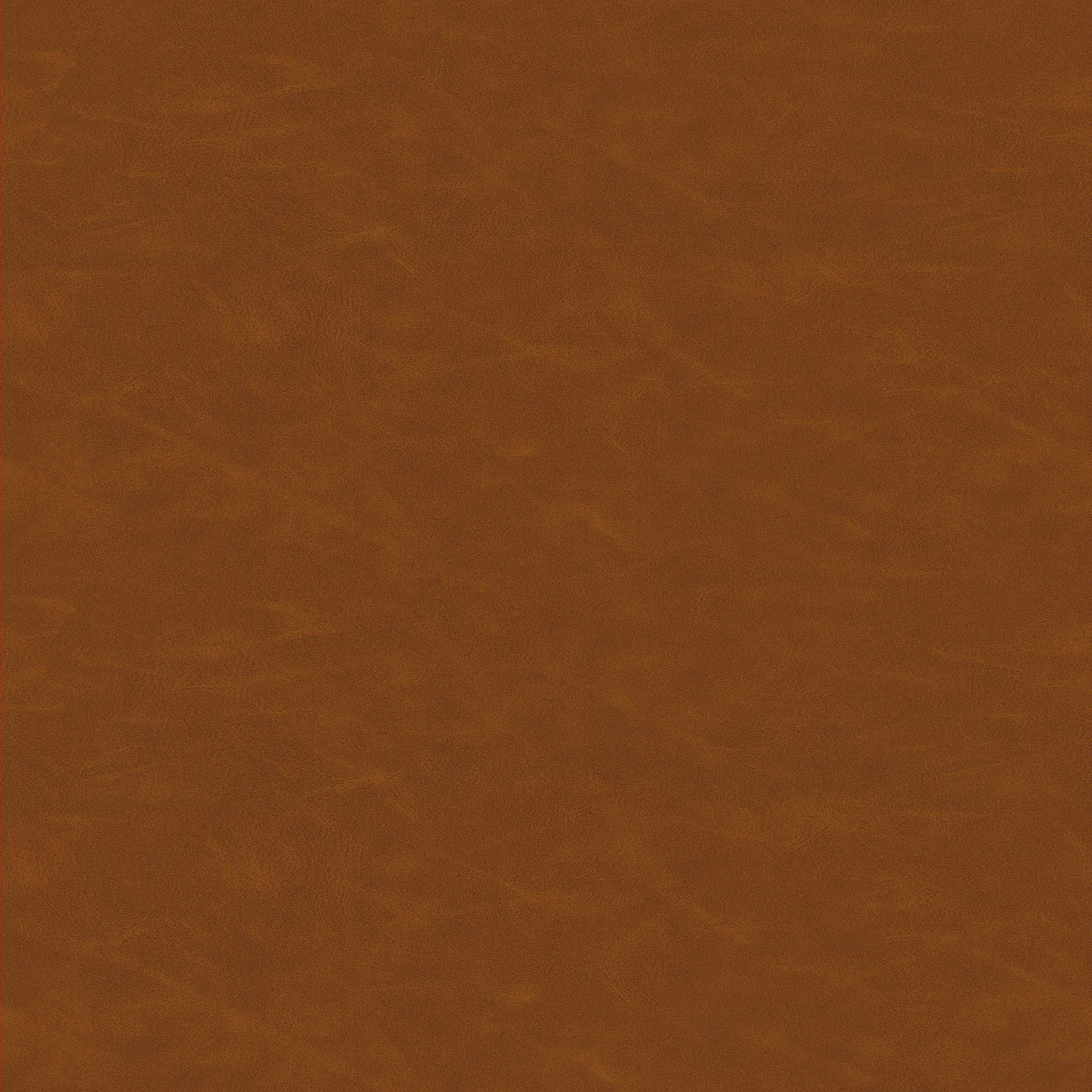 Image 53
