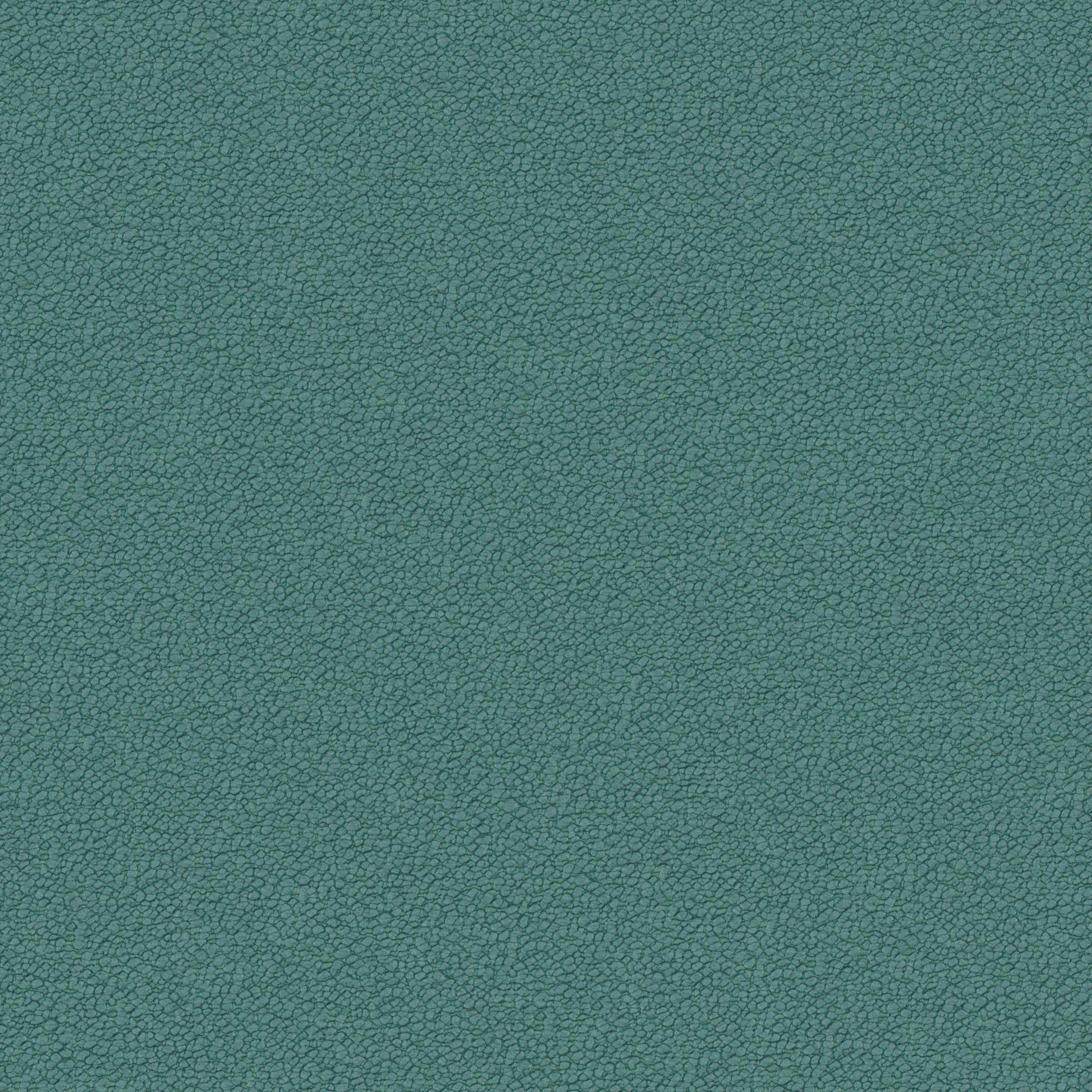Image 25