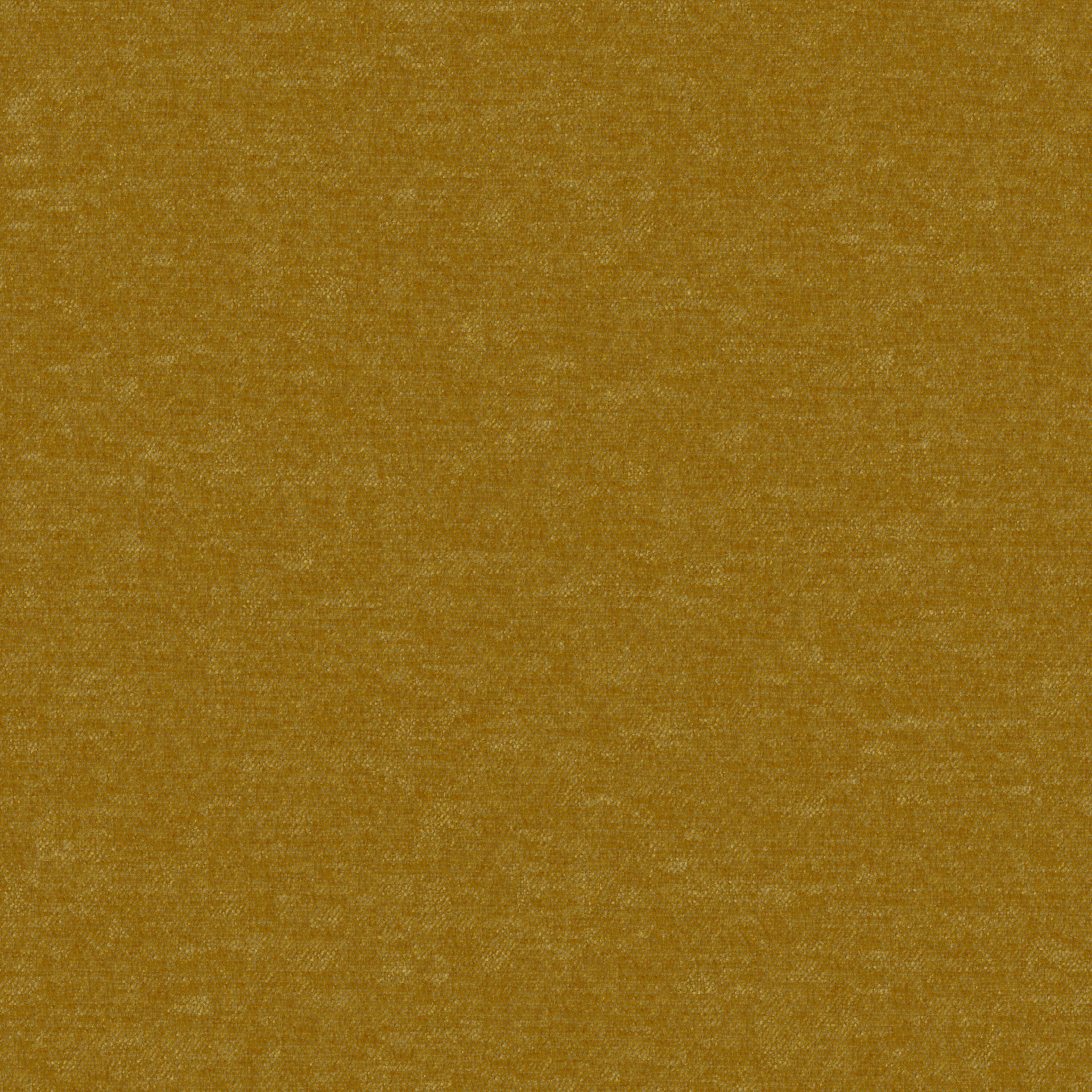 Image 39