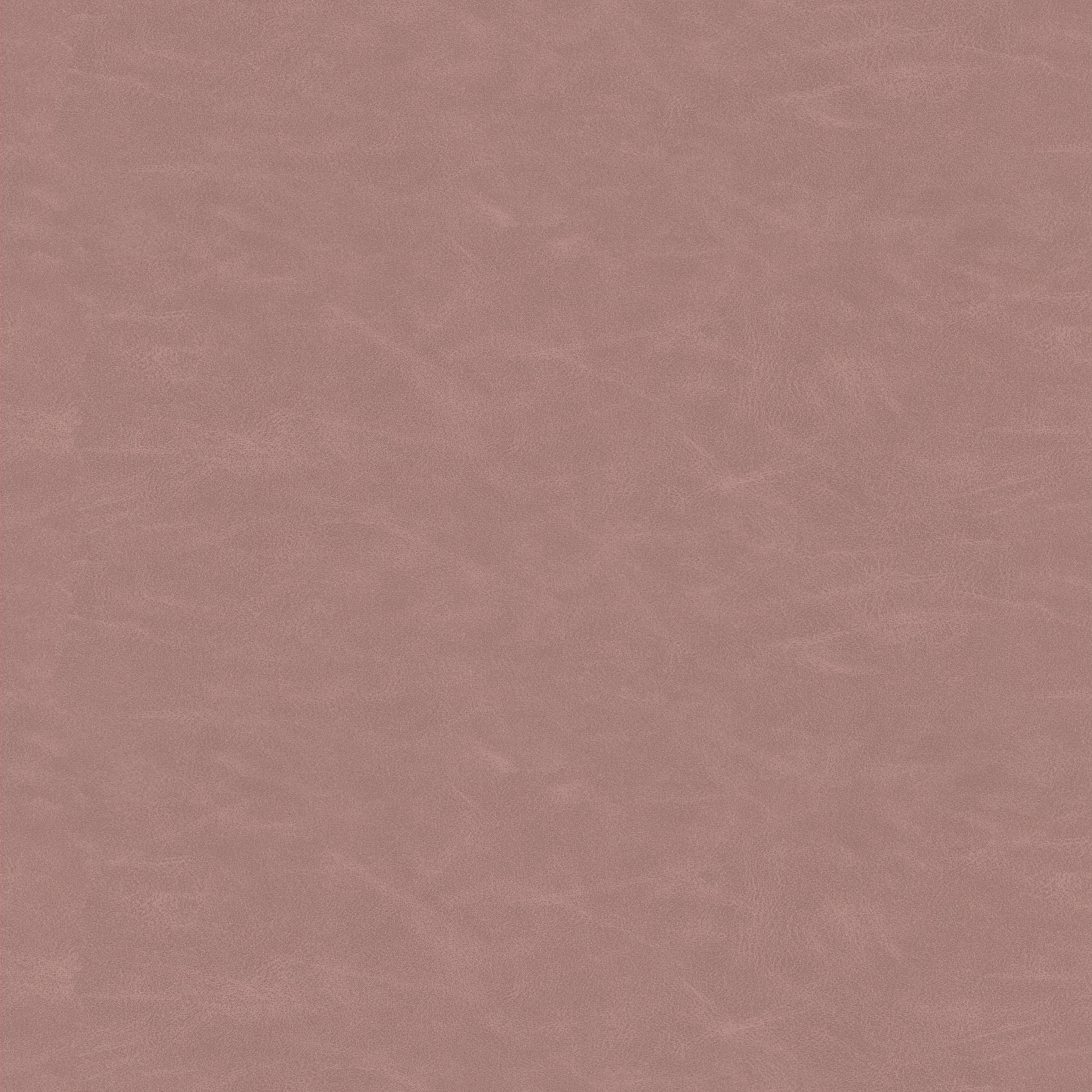 Image 54