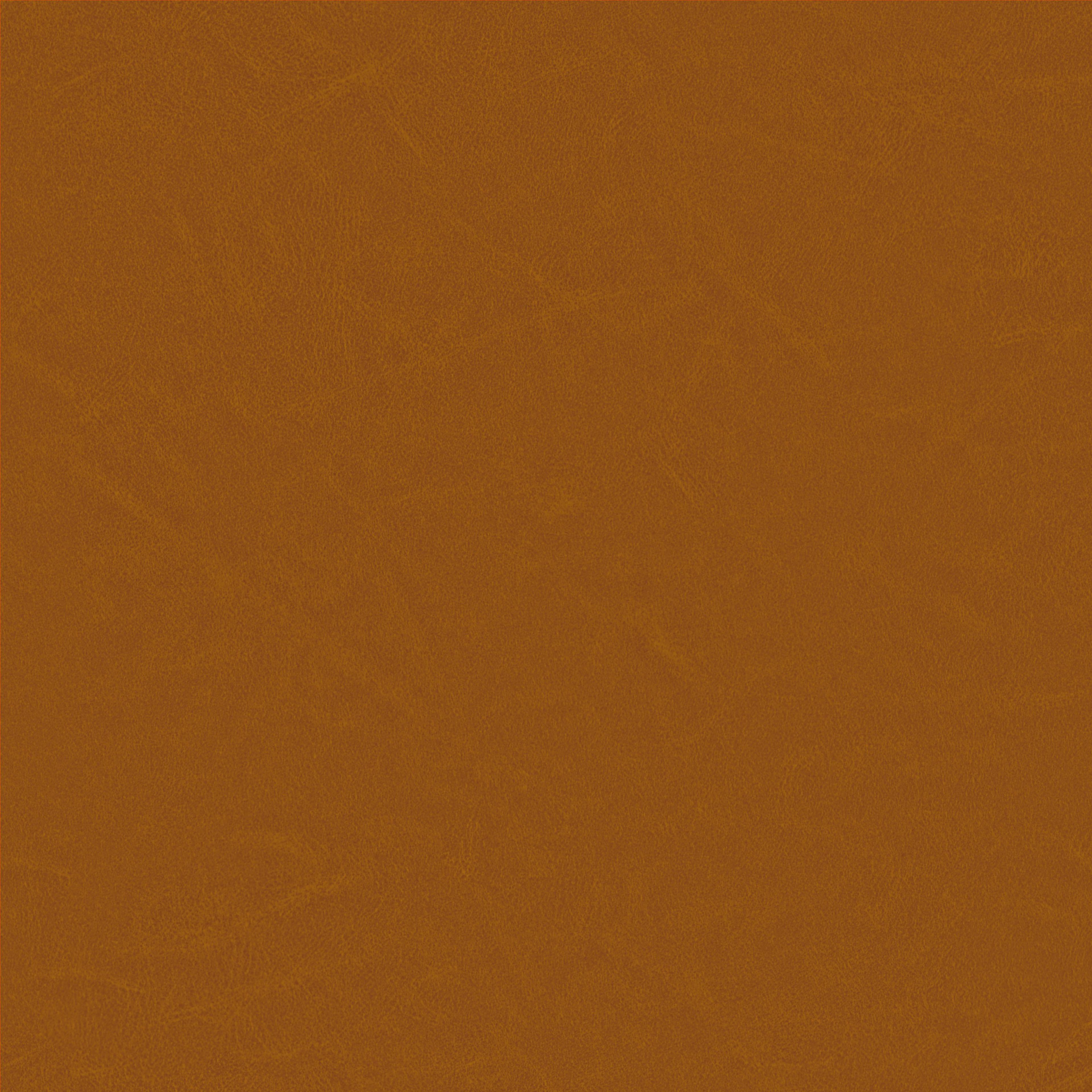 Image 62
