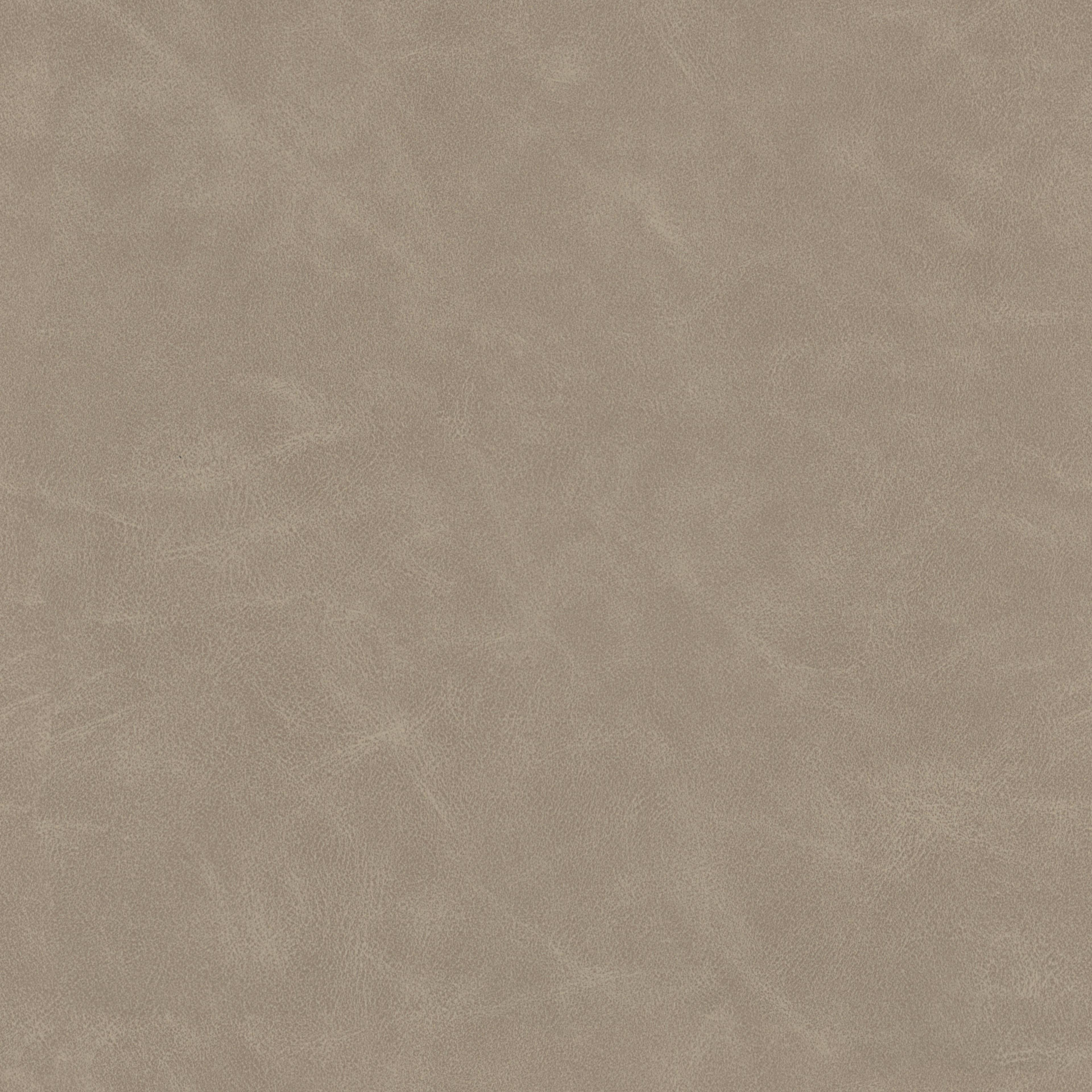Image 56