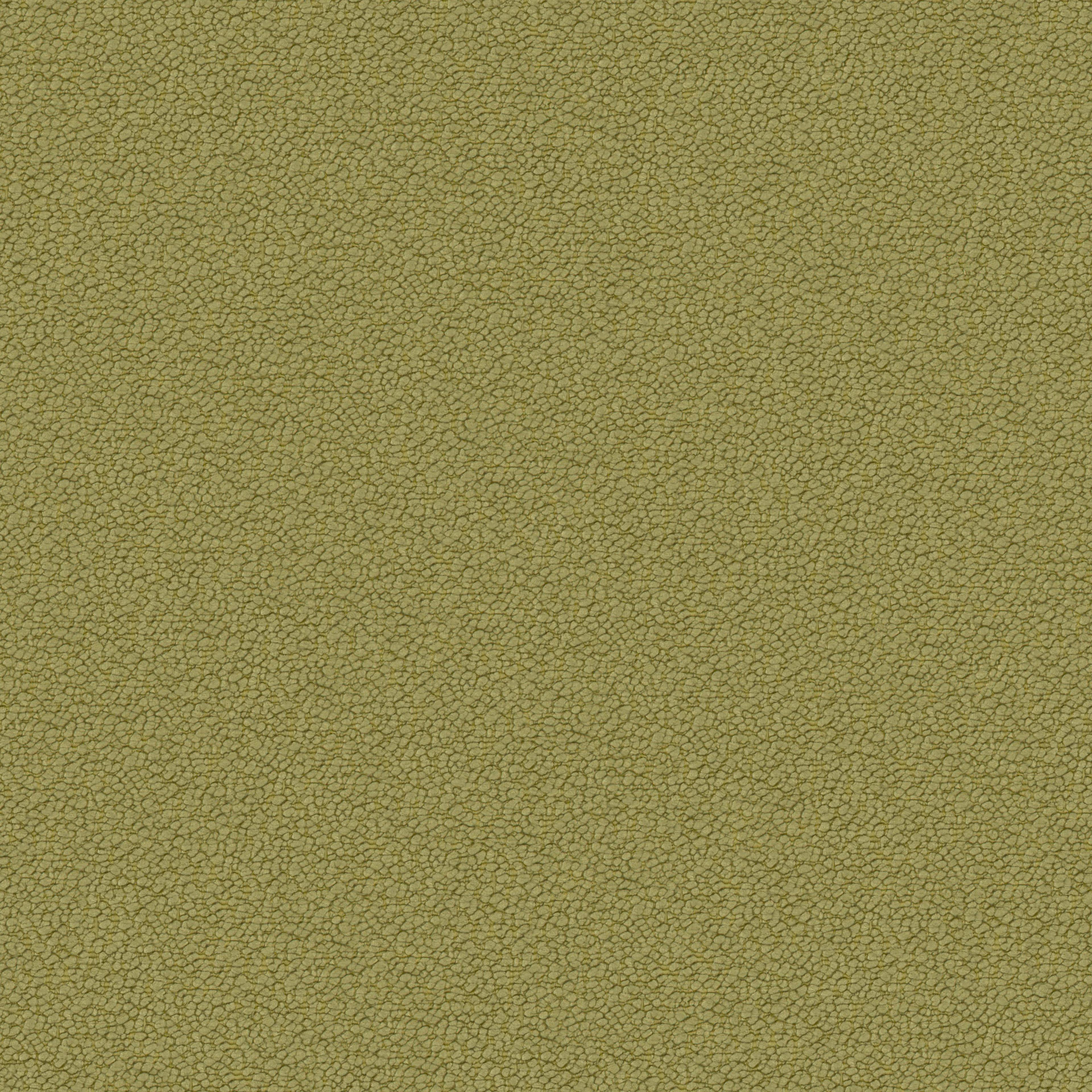 Image 23