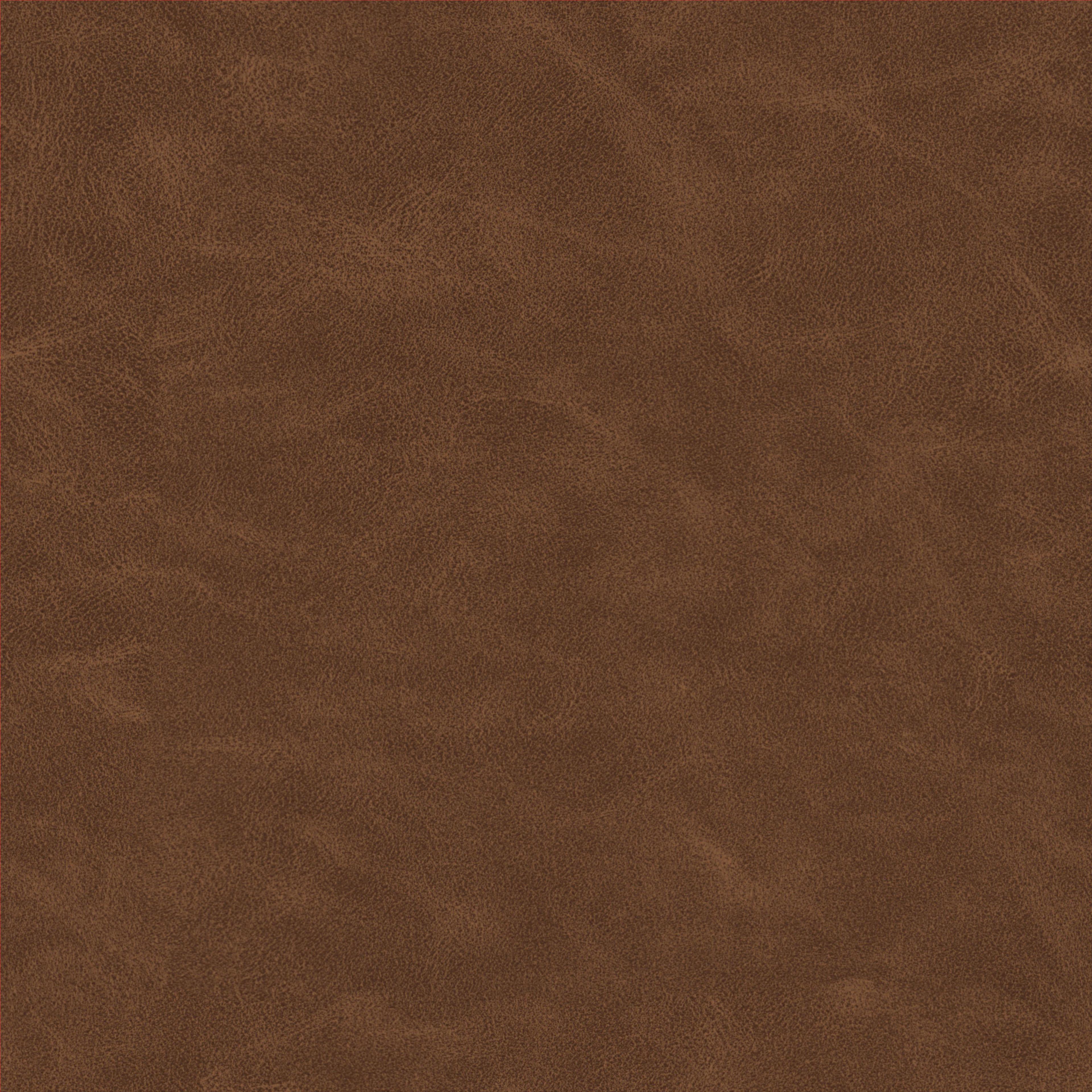 Image 64