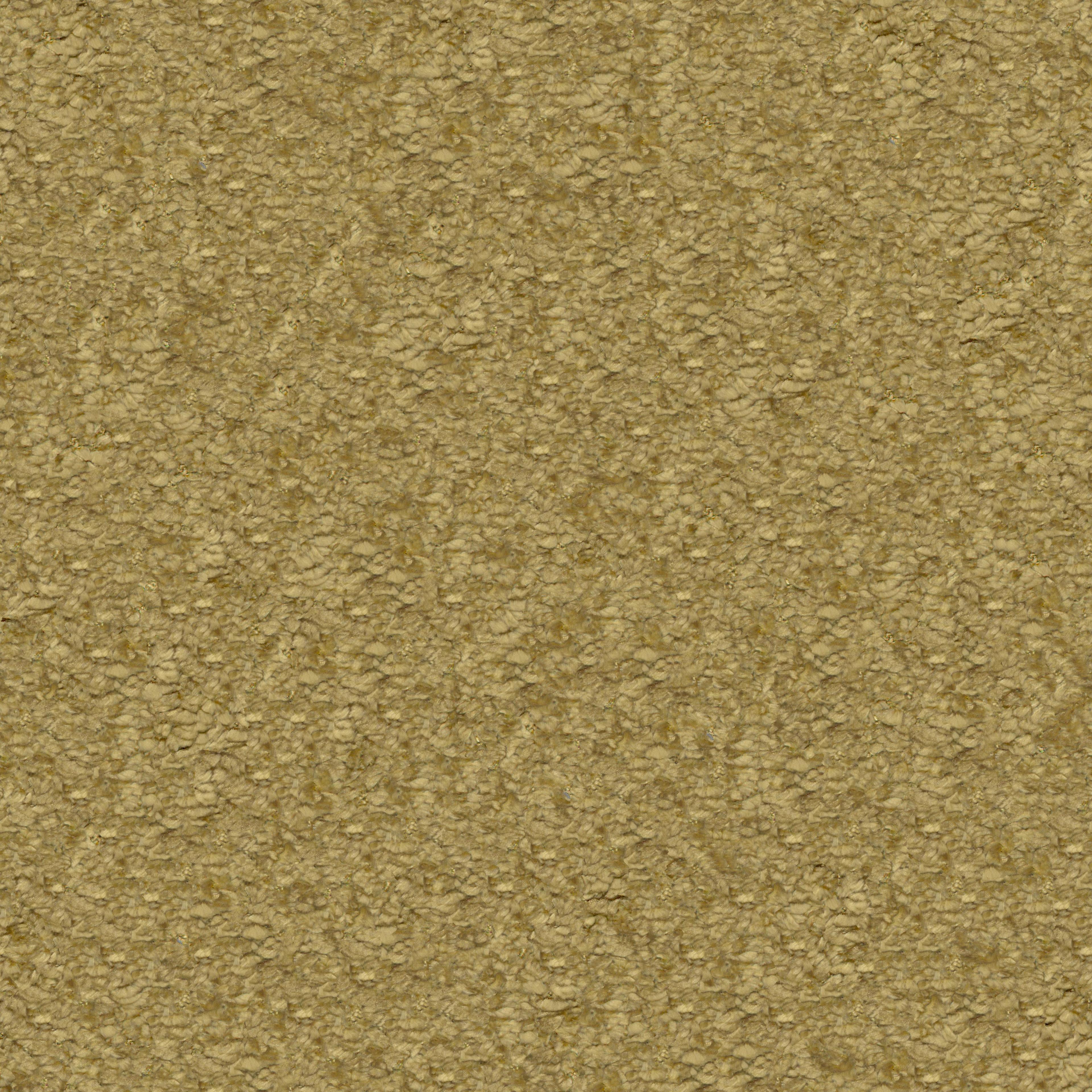 Image 24